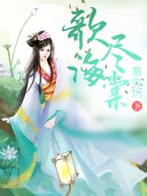 2024澳门天天开好彩大全46期女性网游小说